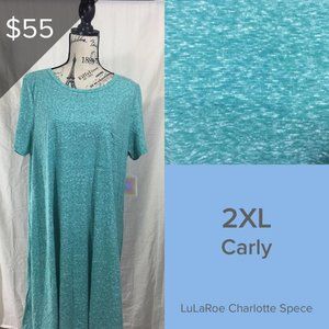 NWT 2XL Turquoise Lularoe Carly Dress